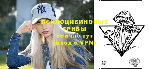 твердый Бугульма